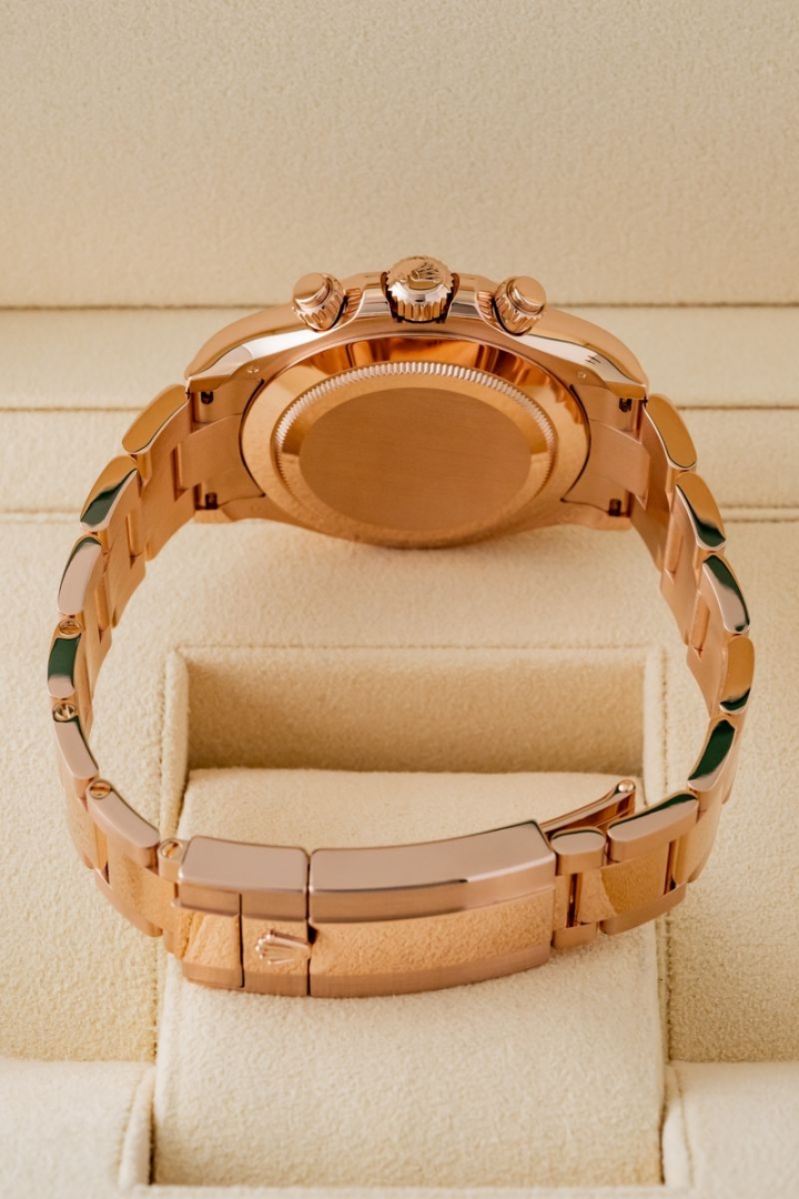 Rolex Daytona Rose Gold  Choco Dial